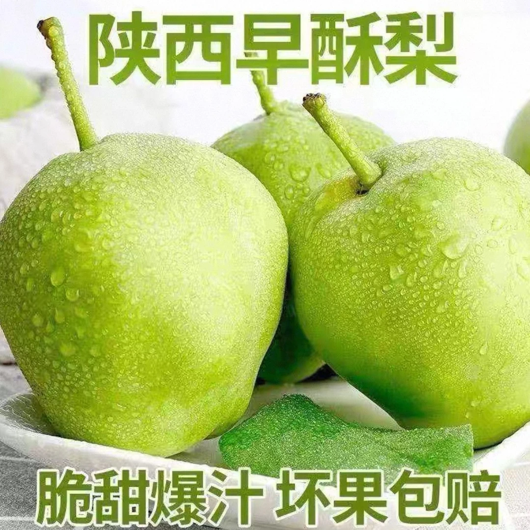 陕西六月酥早酥梨新鲜应季香甜多汁现采现发孕妇水果
