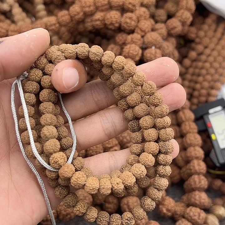 骑***孩金刚菩提手串谢谢