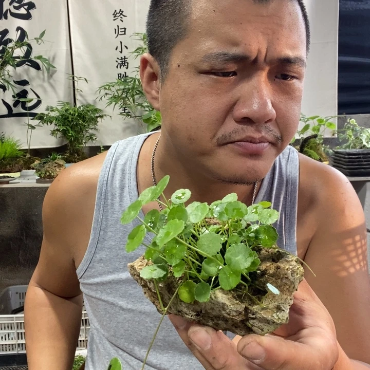 无花朵退款拉黑拉黑57