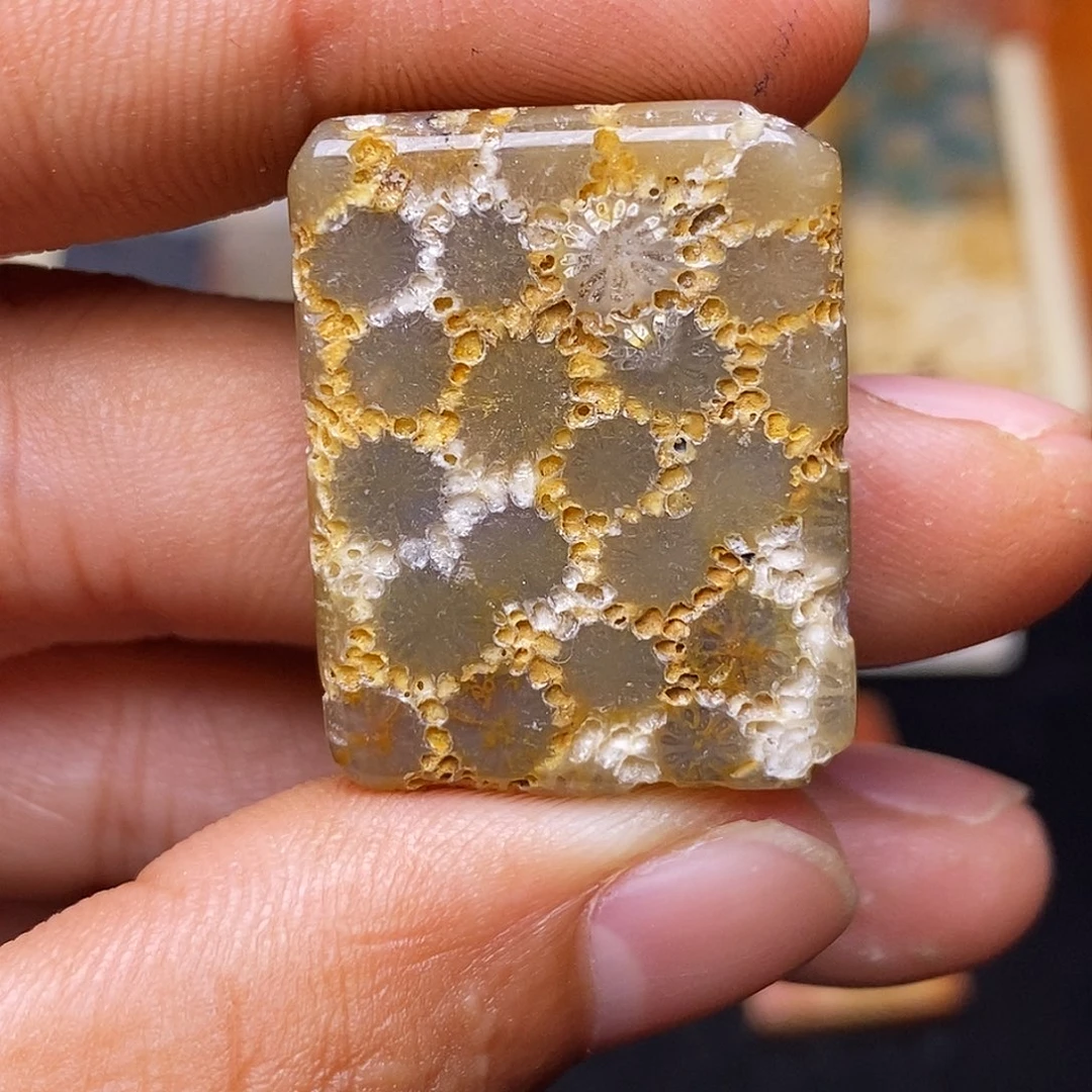 不***复合金珊瑚玉硅化玉