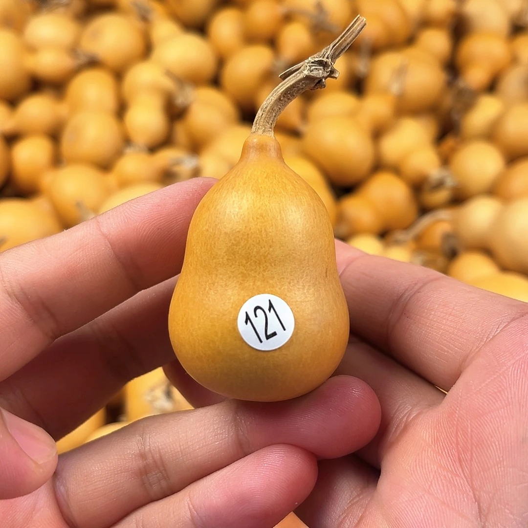 四葫芦葫芦葫芦葫芦121