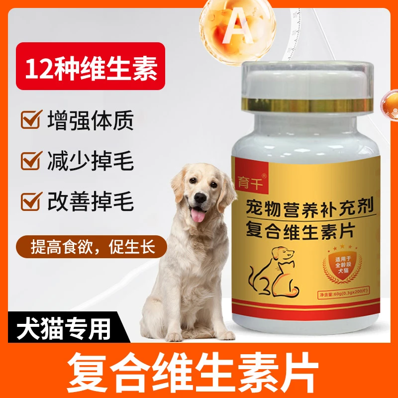 猫咪宠物防掉毛专用复合维生素片狗狗多维b族营养补充剂大小幼犬