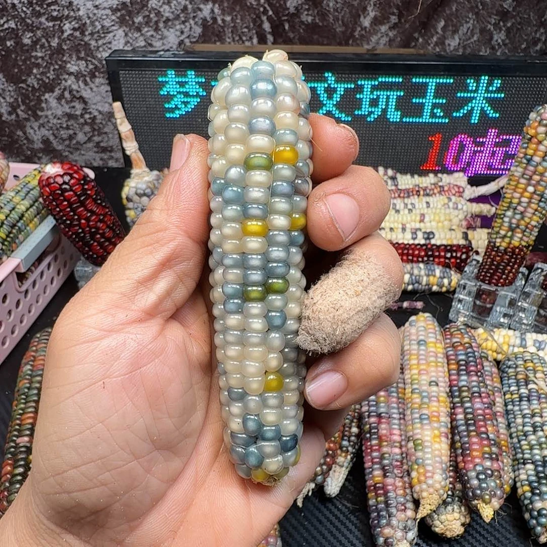 m***l大叶紫檀（黑酸枝木类）