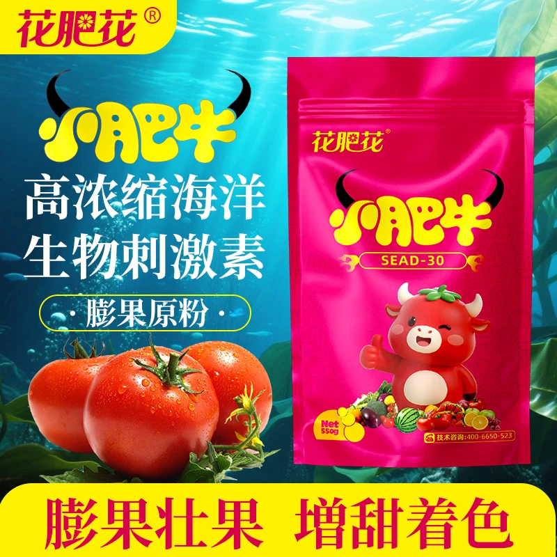 小肥牛海洋生物刺激素膨果水溶肥料膨大上色增甜冲施西红柿专用