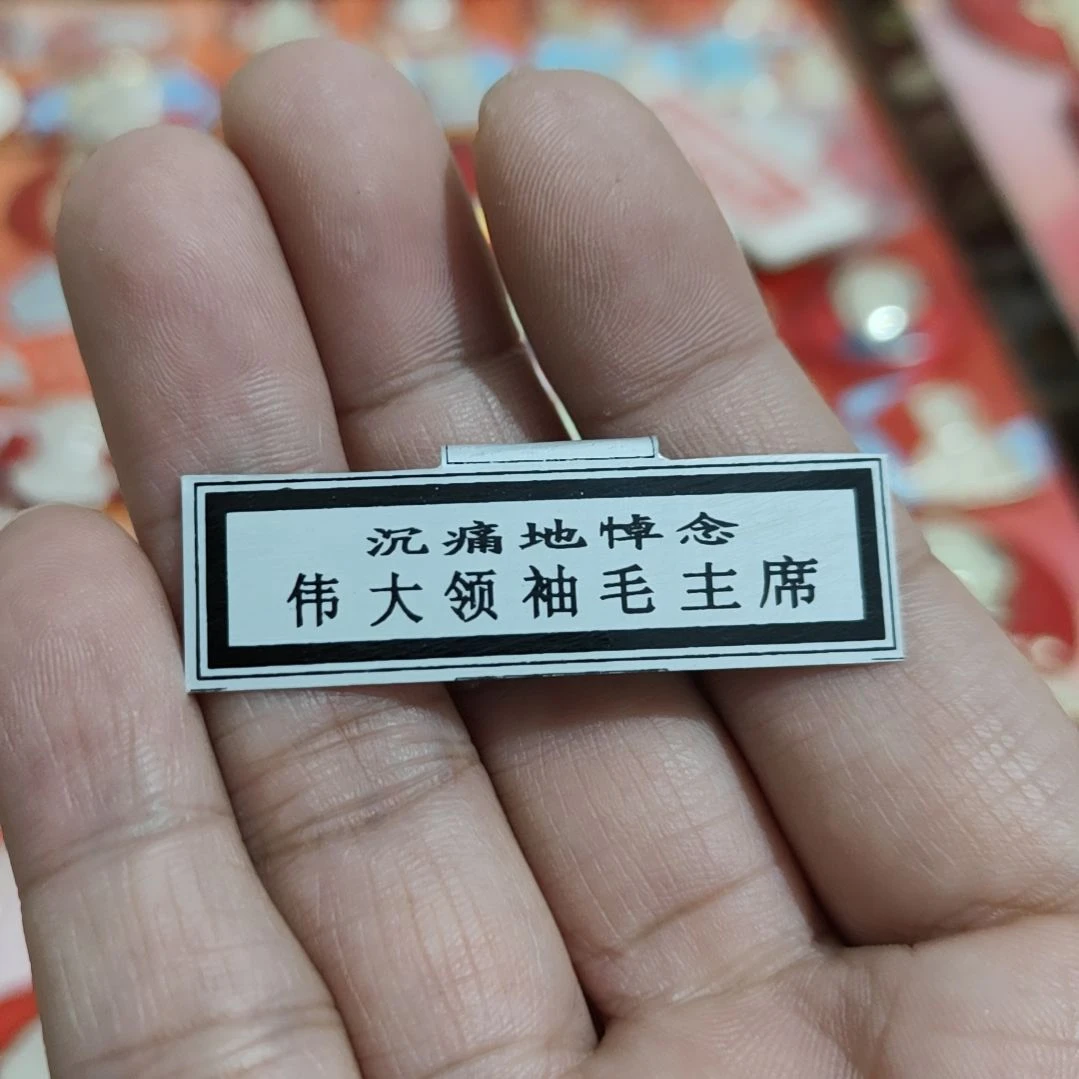 3***姨其他普通金属圆形红色人物像章