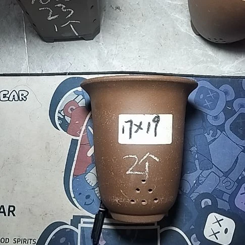 小金钟两个紫砂花盆