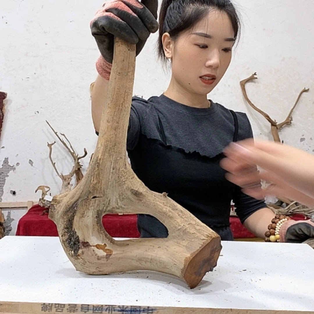 【闪购商品】柏木闯*我们都是好孩子