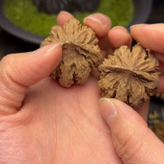 文玩核桃把件z*Z秦岭核桃23