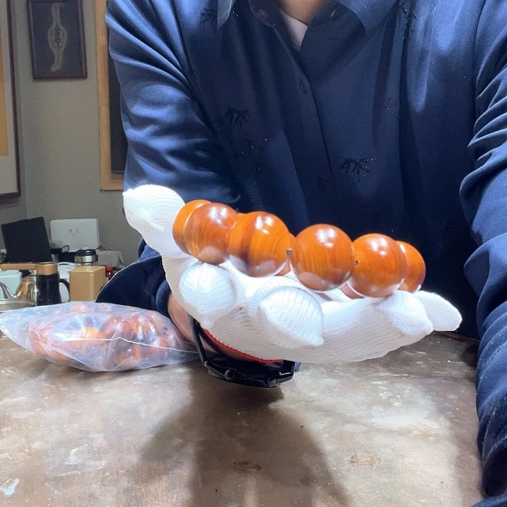 无***影柏木北太行易县崖柏