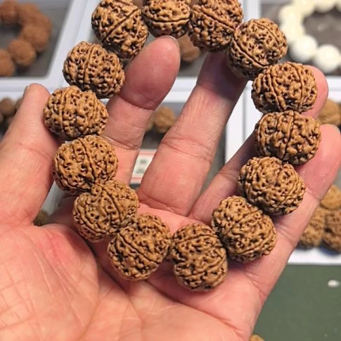 手串金刚菩提六瓣大金刚手串，22左右尺寸，原皮原色，今年新籽