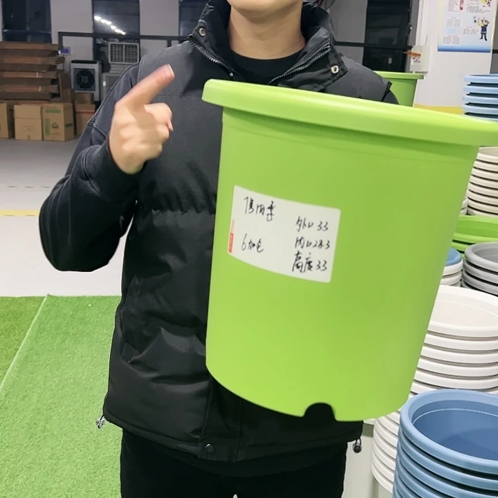 特价7号口33高33果绿色6只无托