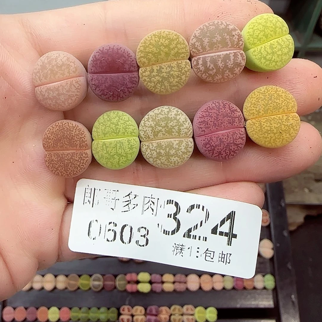 满18包邮0603-324