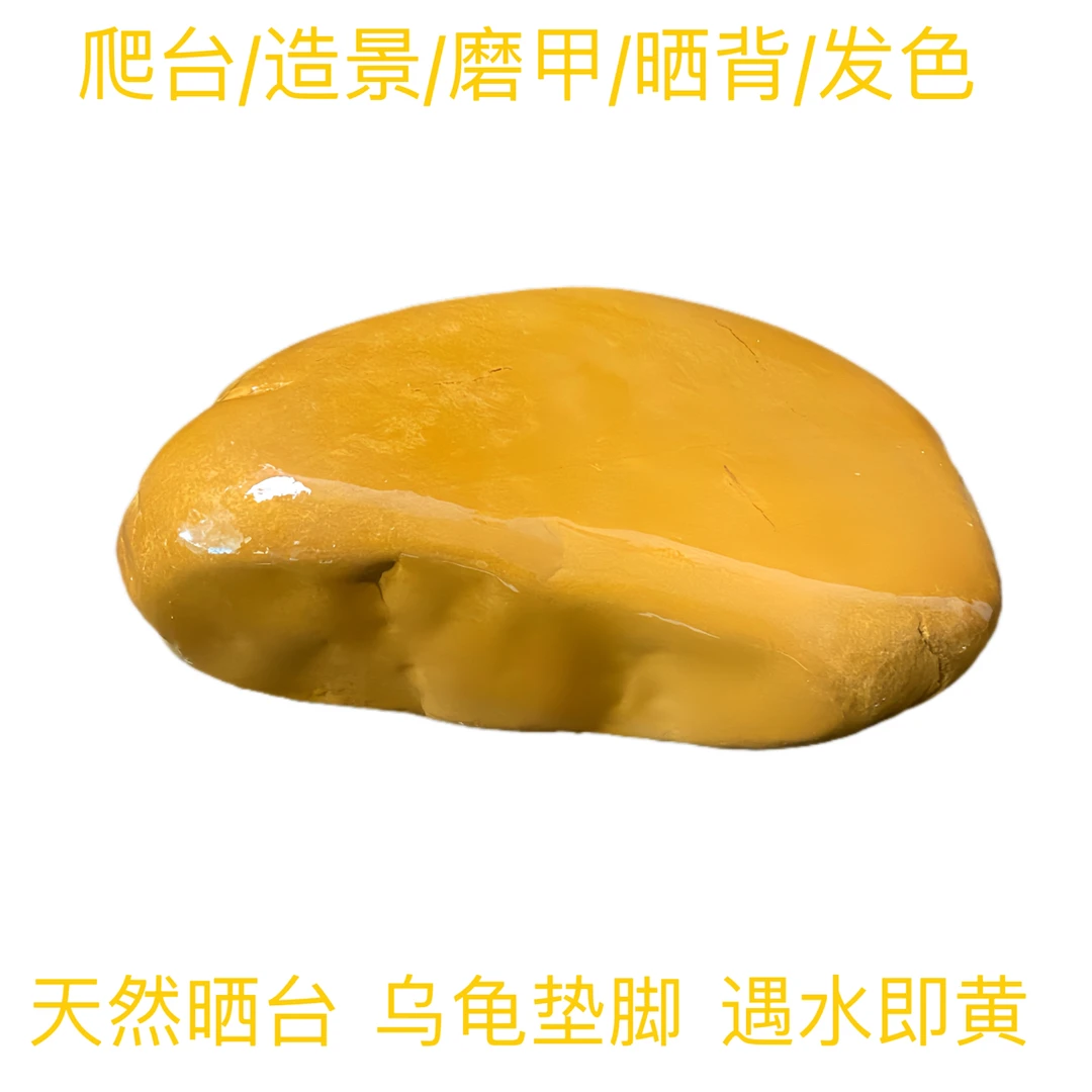 黄蜡石乌龟晒台精品鱼缸造景石一物一拍