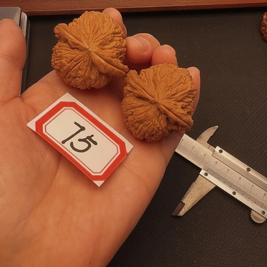 吊坠文玩核桃全品40尺白狮子