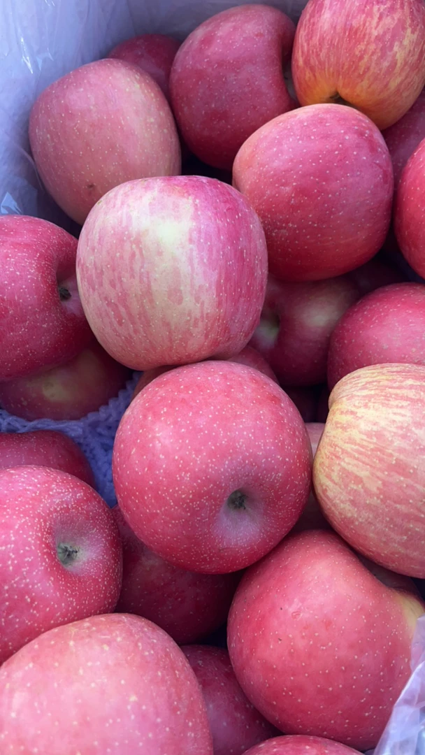 高山富士苹果（条纹）