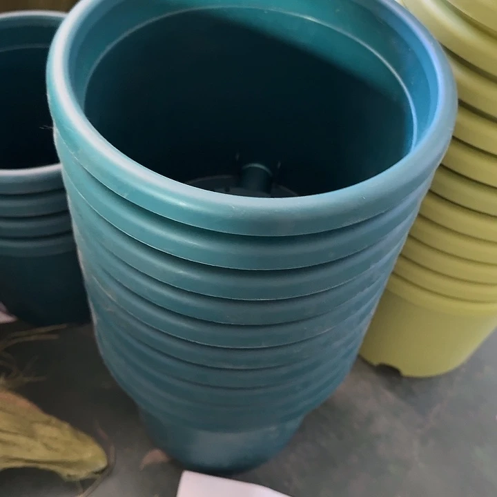 编号2703口径21无托10个