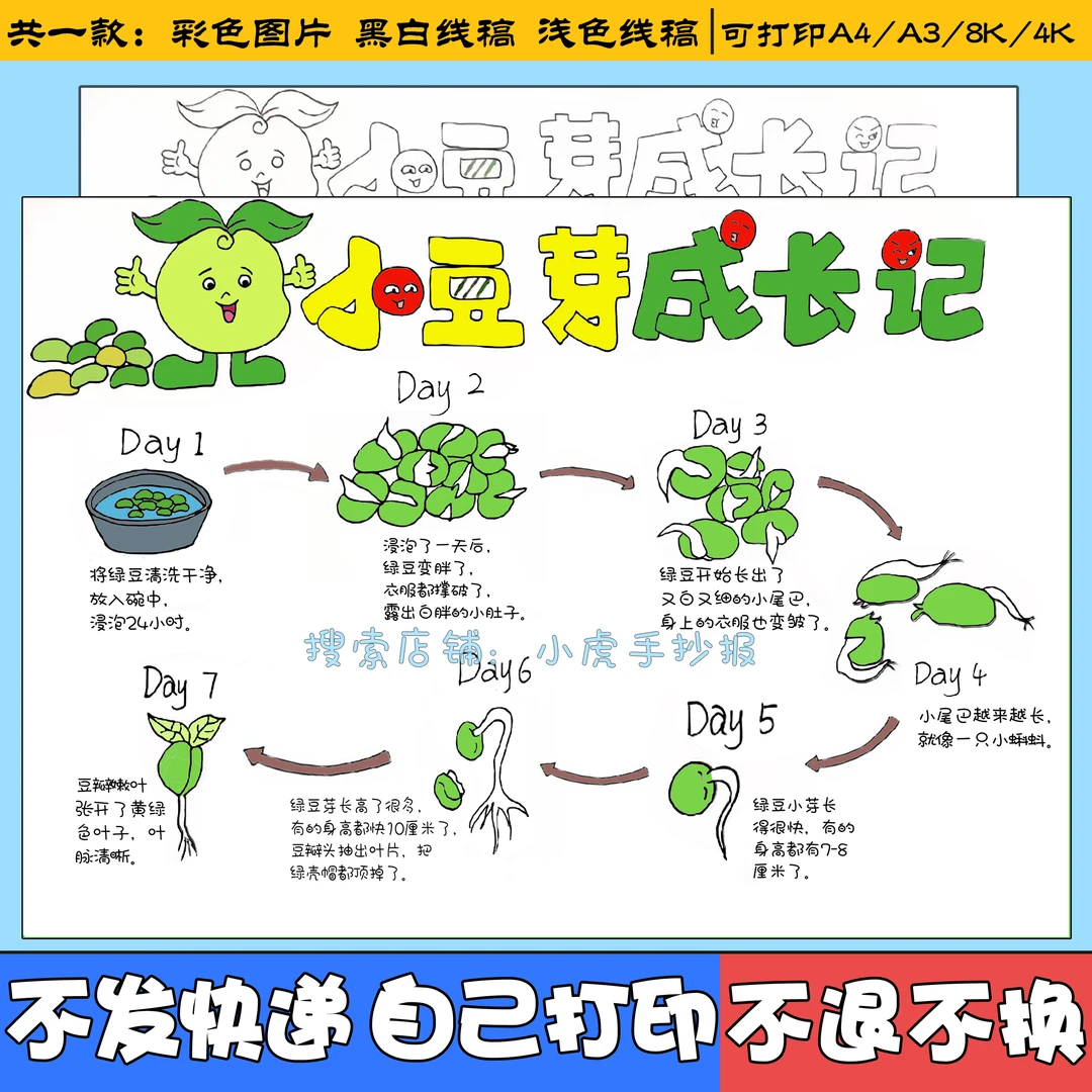 小豆芽成长观察日记植物7天生长记录自然笔记手抄报电子版模板