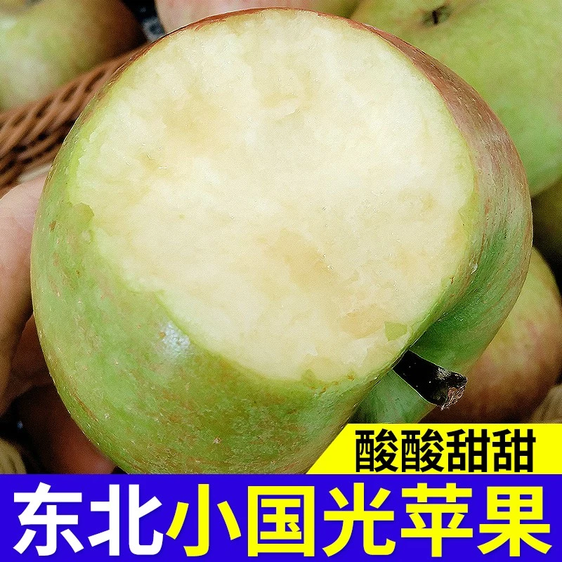 正宗东北国光小苹果新鲜水果笨果酸甜丑萍果孕妇水果多省包邮