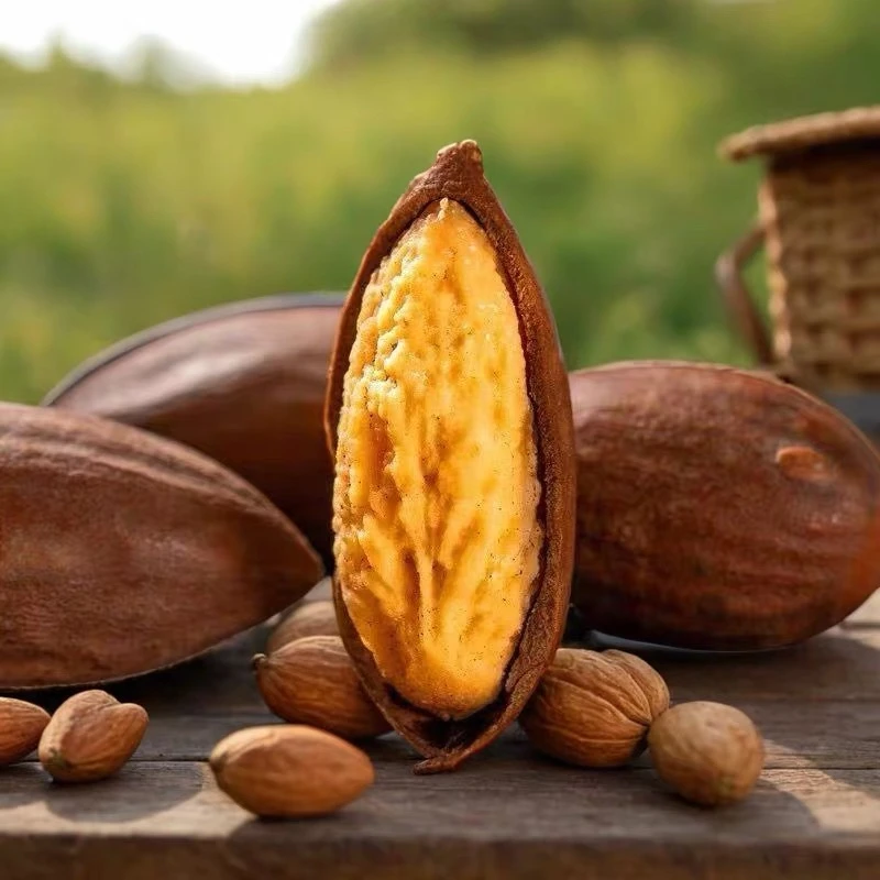 【小院山货】2025年新货诸暨香榧新货香榧坚果精品开口香榧