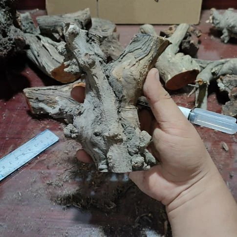 动***犬核桃木/黑胡桃（胡桃木）