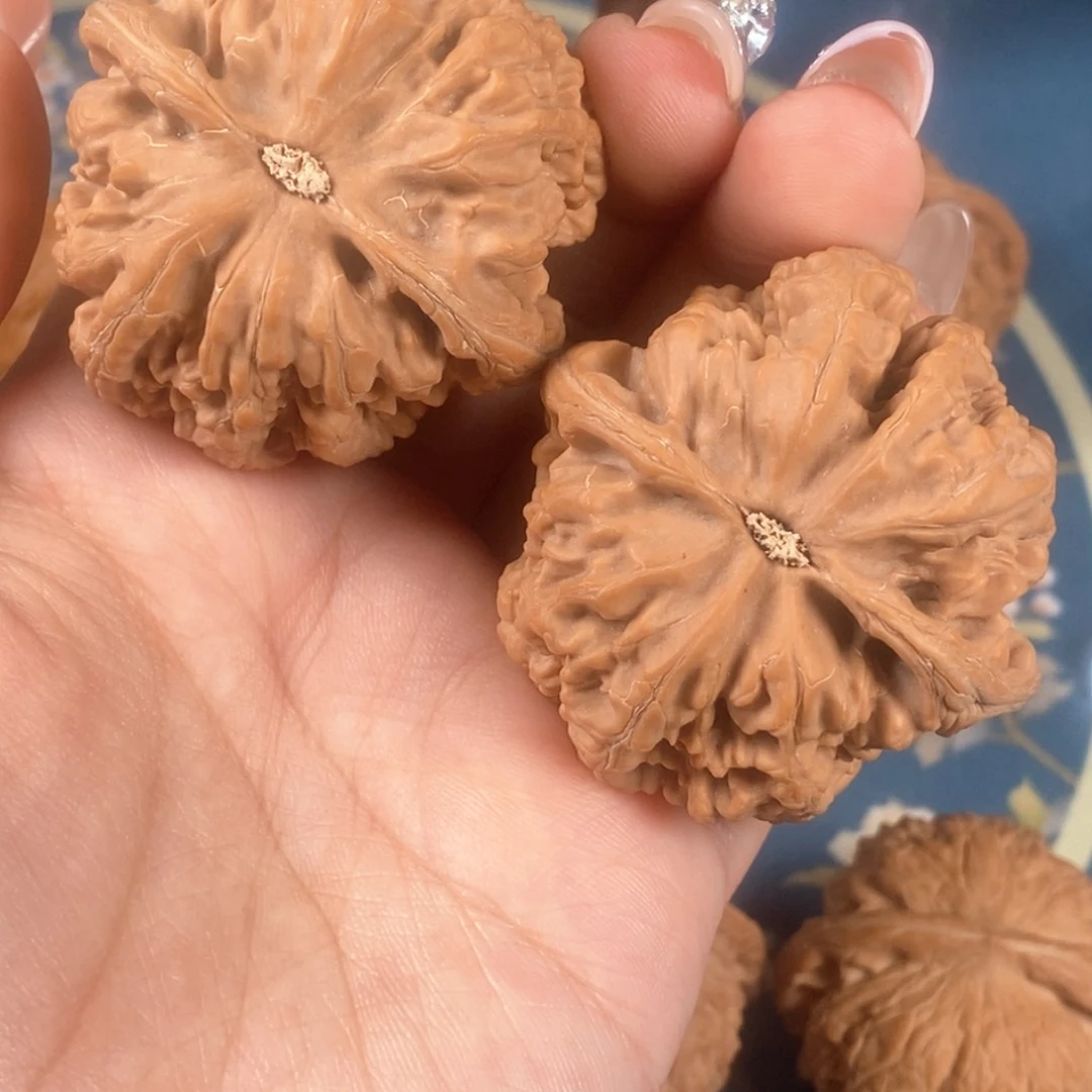 核桃文玩核桃大粗筋