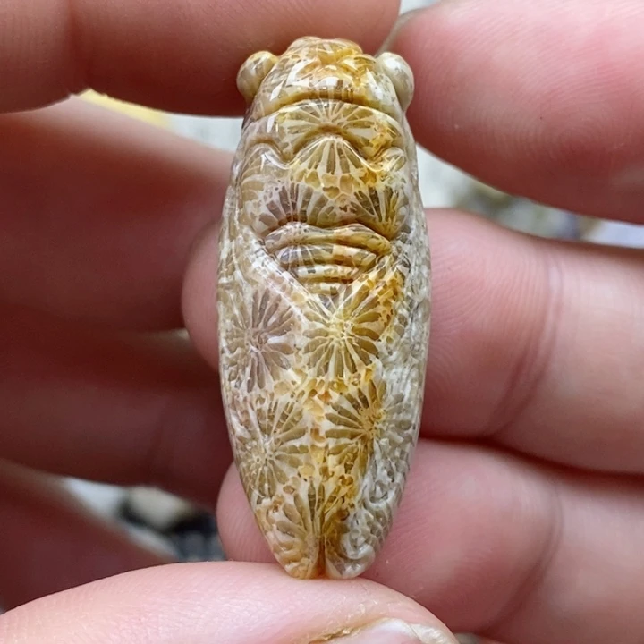 颈饰未镶嵌硅化珊瑚（珊瑚玉）小