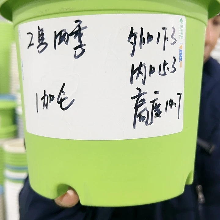 特价2号四季口17高14白色10个无托