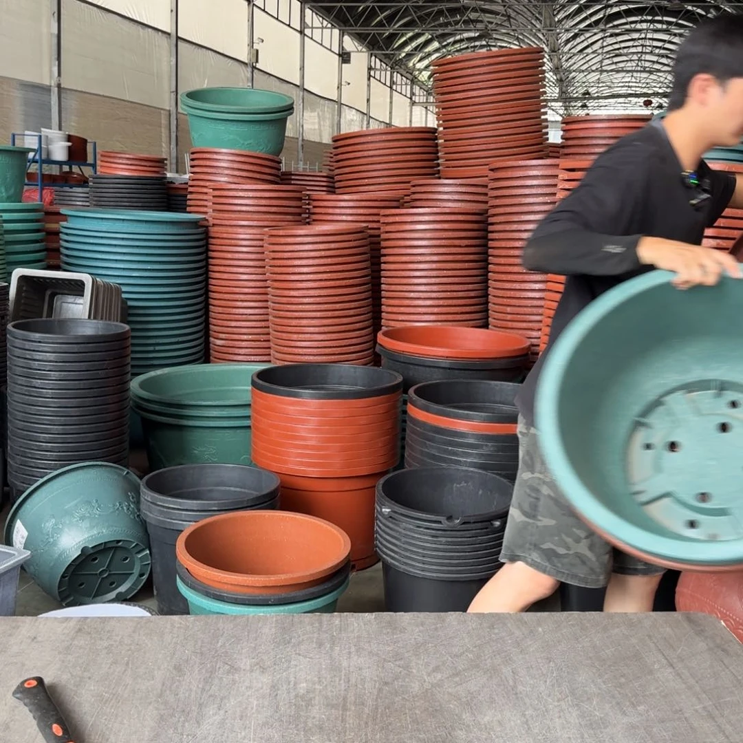 龙****神70红色福字圆盆4个