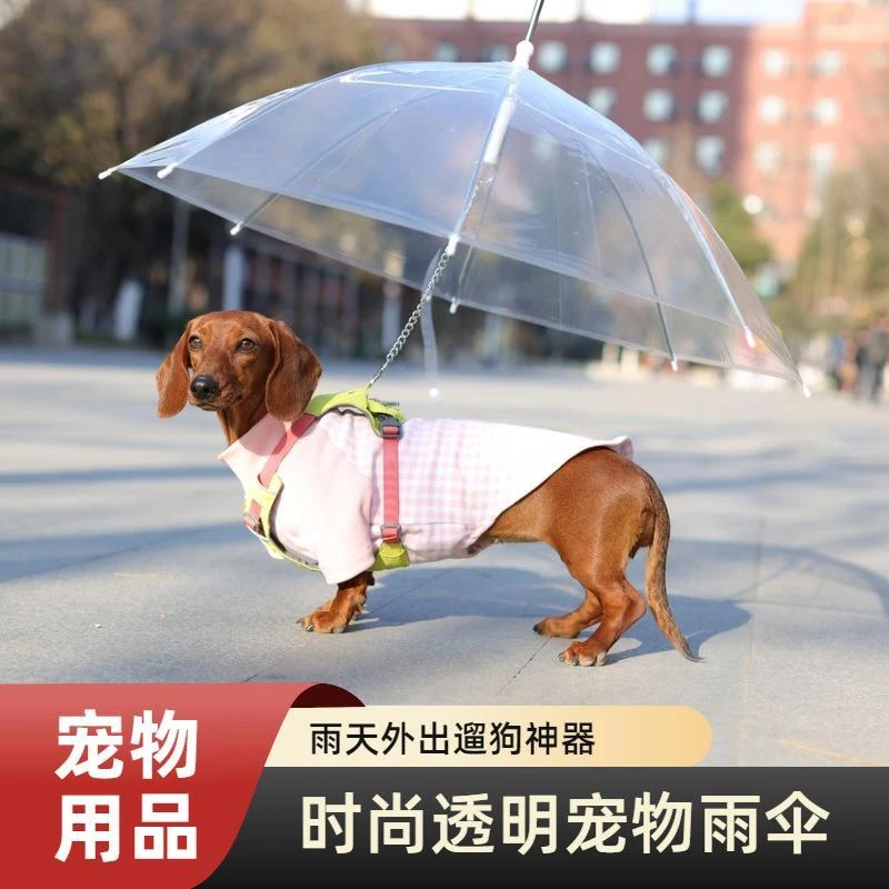 宠物专用透明雨伞腊肠狗中小型犬专用雨衣牵引狗链遛狗透明雨伞