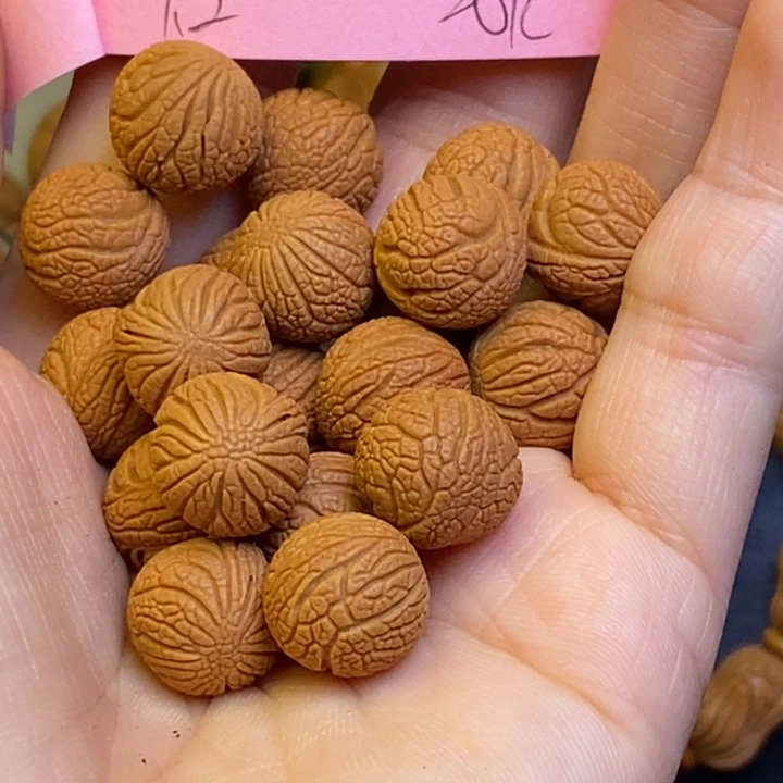 桃核吊坠秦岭龙纹桃核12