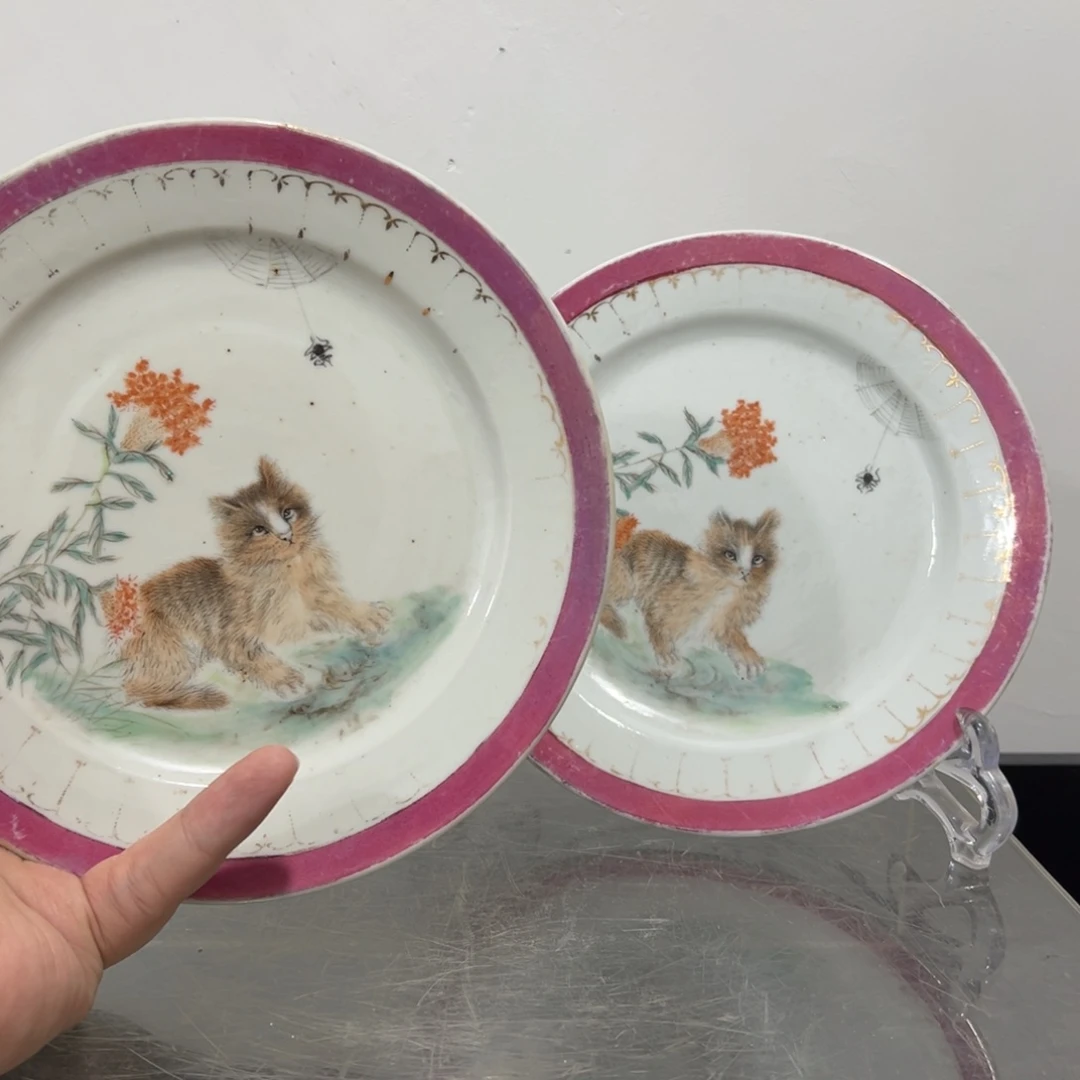 G***。胭脂红细路粉彩猫盘一对