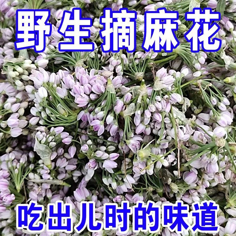 2024山西右玉野生干摘麻花贼麻花扎蒙花麻麻花野韭菜250克包邮