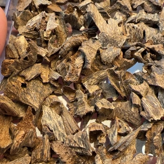 沉香摆件海南野生鸡母虫10克