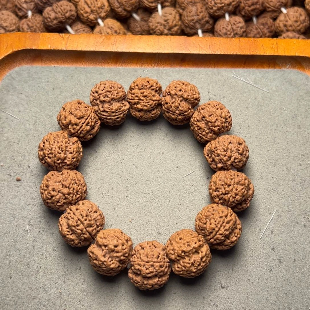 菩提30号金刚菩提古龙梅花23