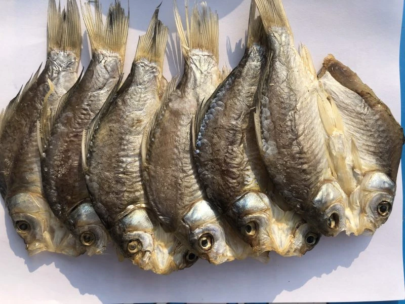 湖北特色回甜味风干鲫鱼餐馆食材阳干鲫鱼