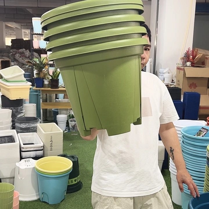 青山口40高35果绿色5个无托