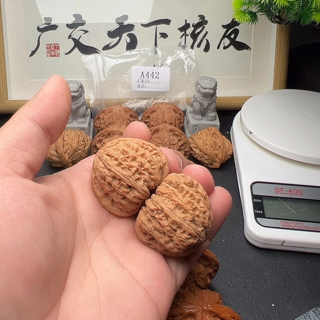 A442密纹红宝石39尺全品