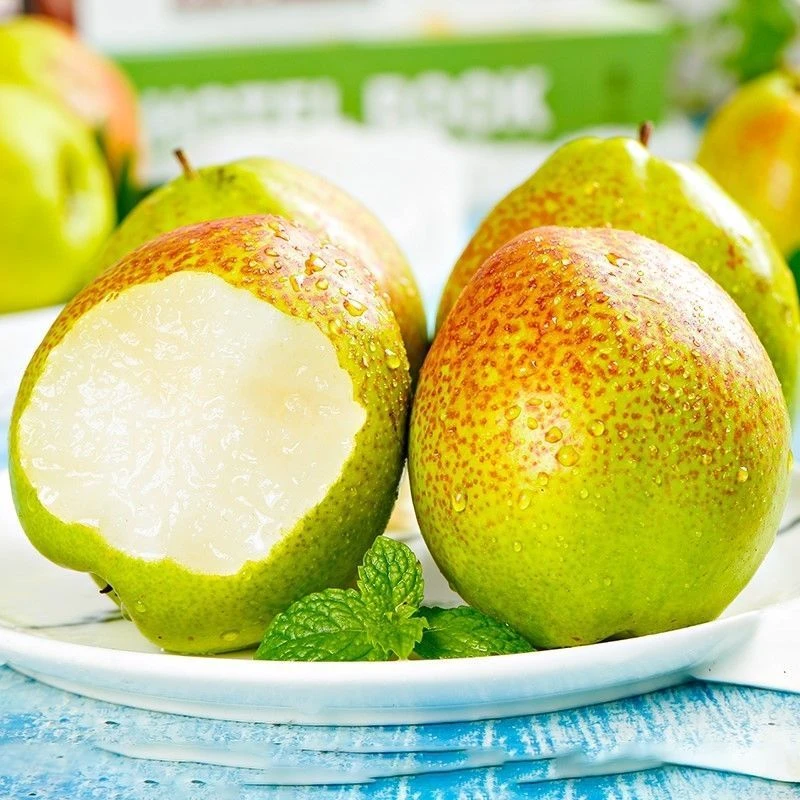 红香酥梨当季现摘水果果园直发10斤整箱时令水果香梨子红梨子