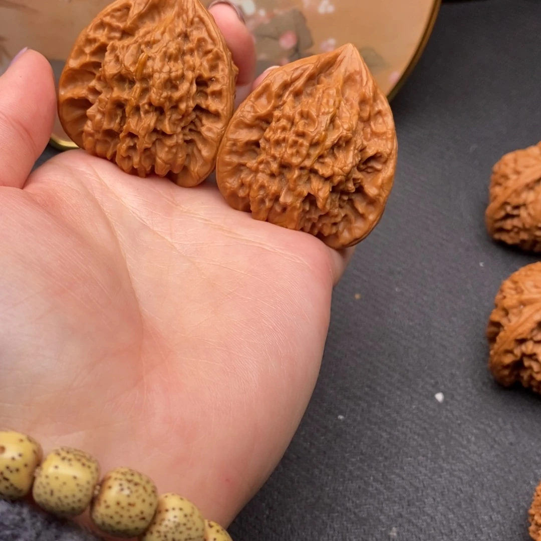 悠**得白狮子111111111