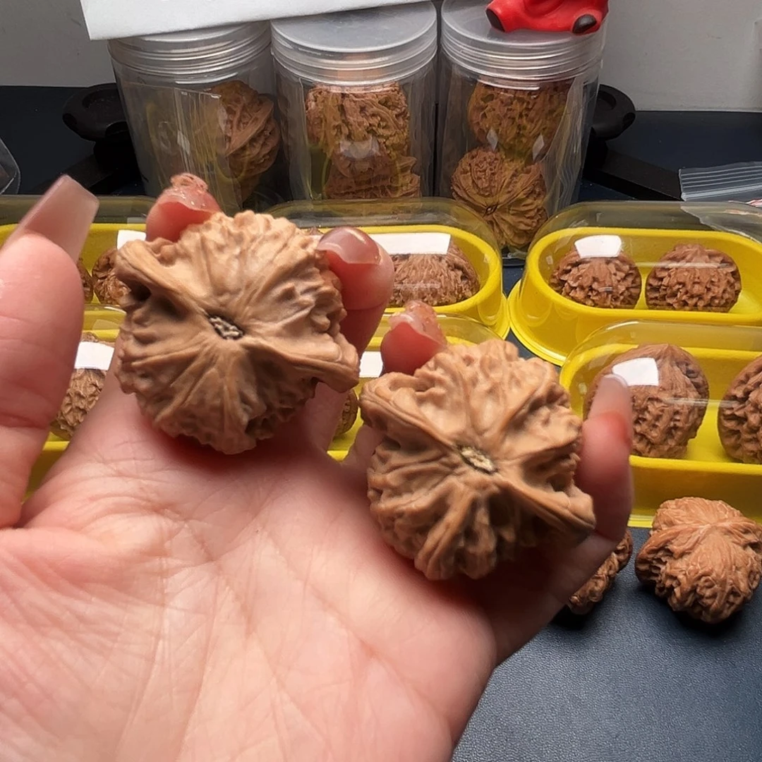 核桃42尺寸大耳朵图图