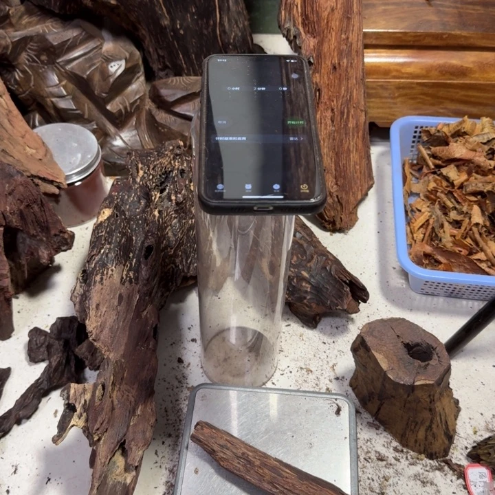 花梨木类兵*海南大叶