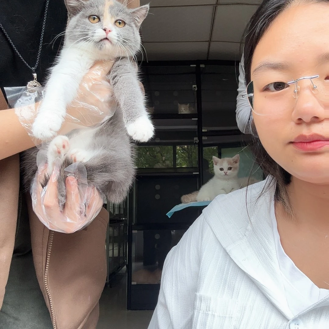三花妹妹 两针疫苗
