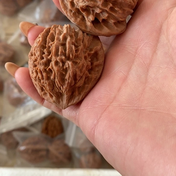 皮**翻野生野生野生野生野生