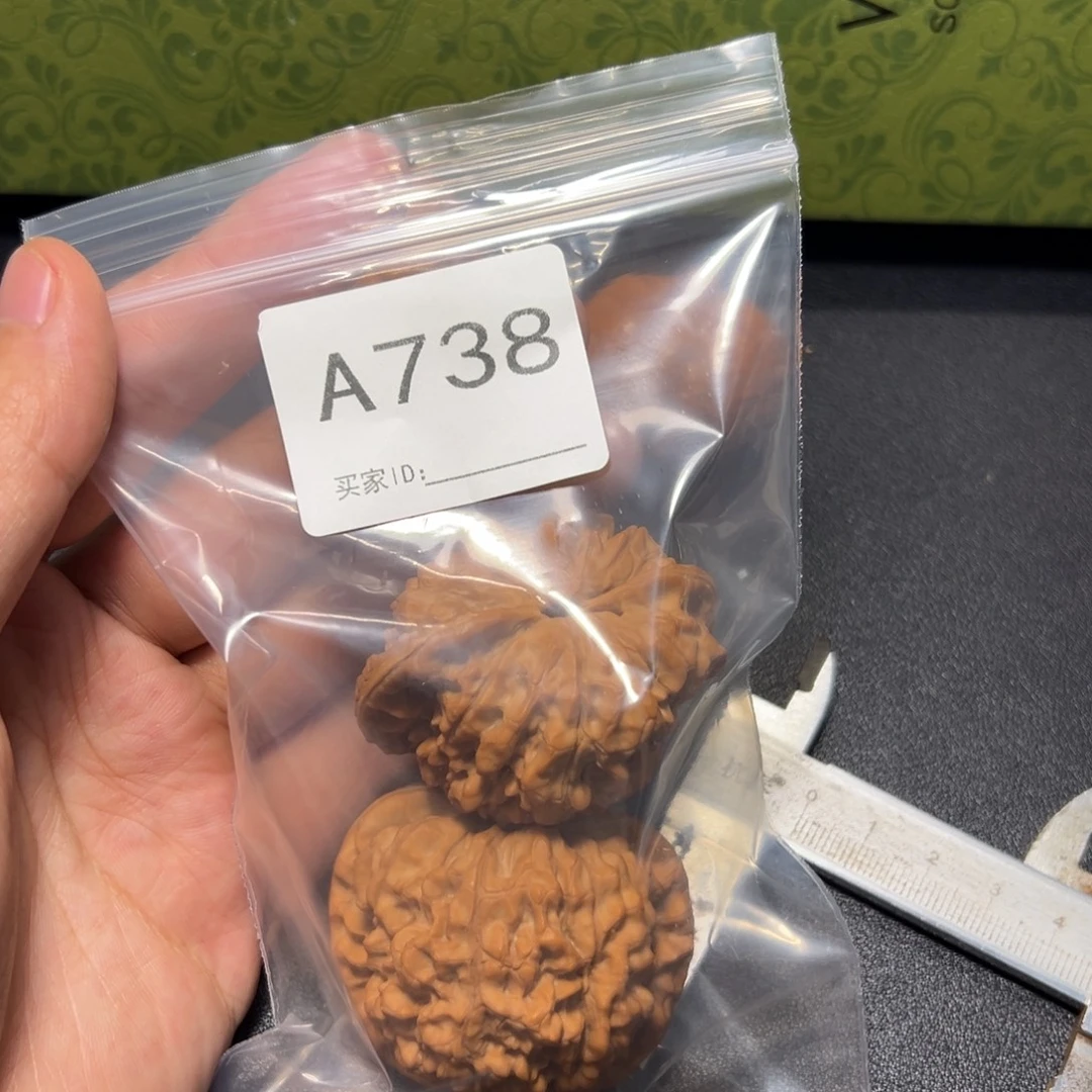 核桃哈哈哈哈我的小