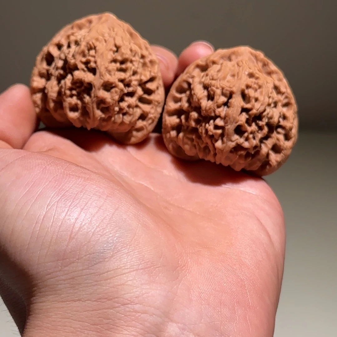 核桃44尺南疆石尖部有黄点