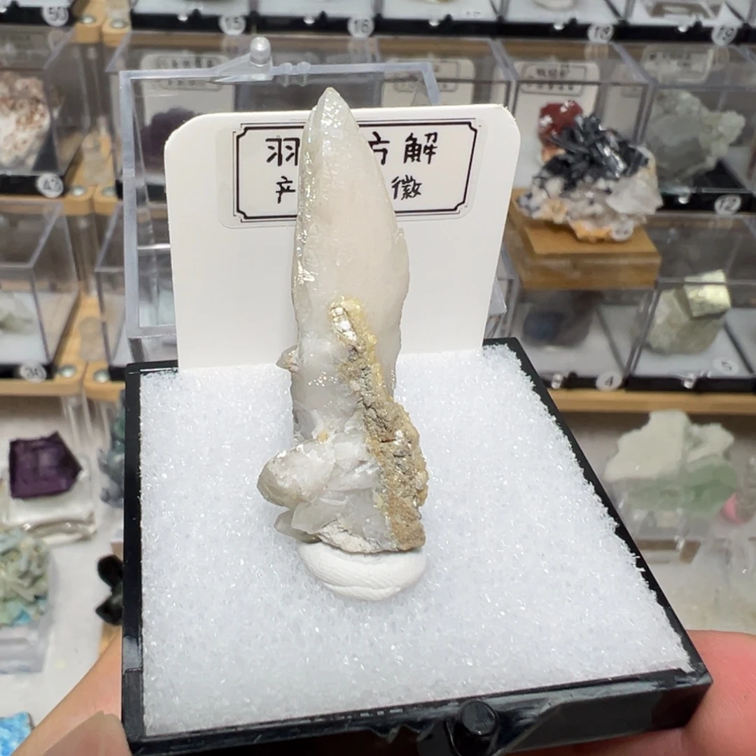银S925镶嵌大型摆件（非配饰）紫晶
