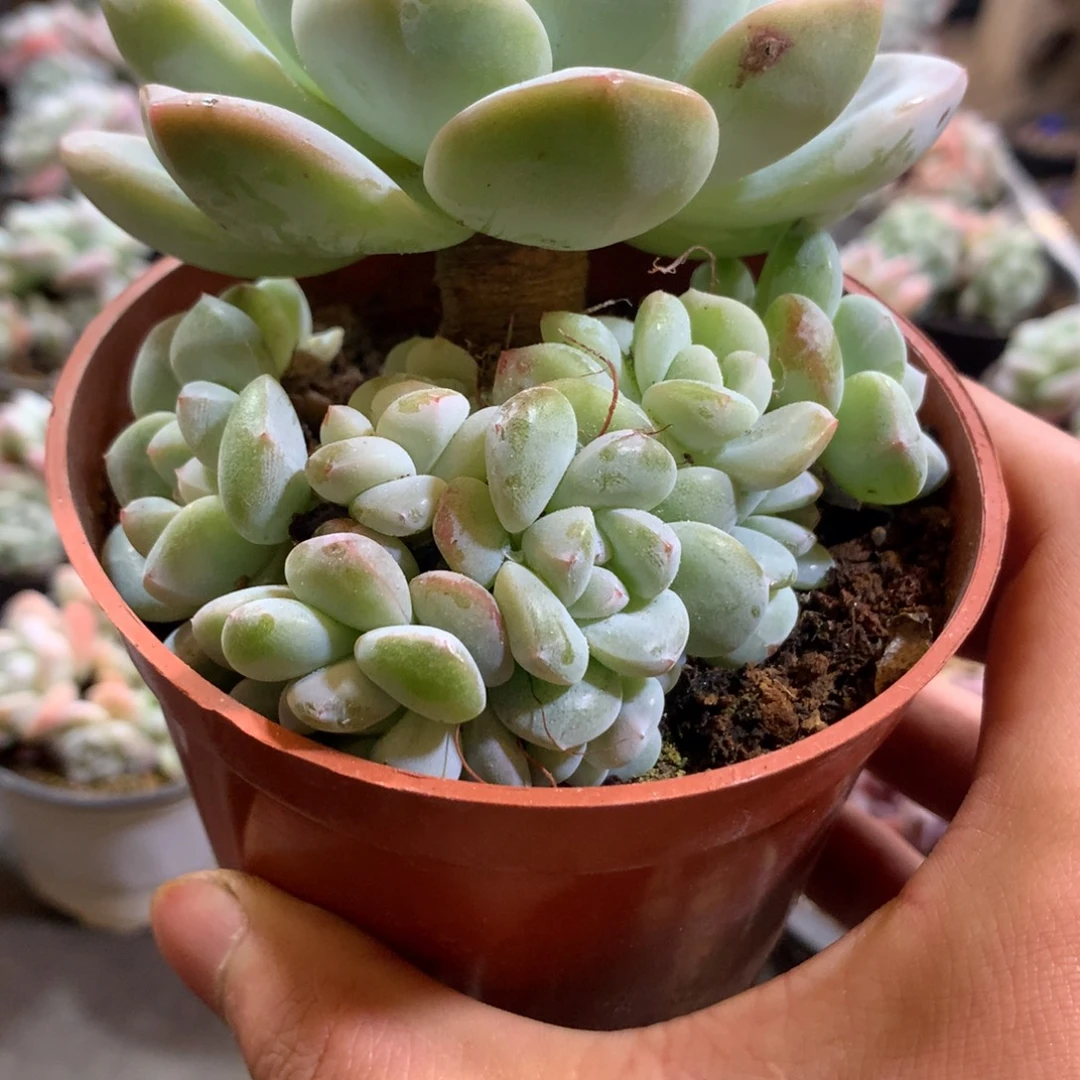 哈哈哈哈哈哈哈哈哈哈哈