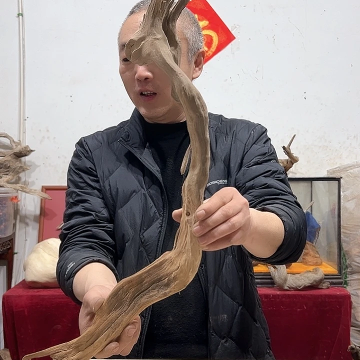 柏木道****5我们的生活也是如此