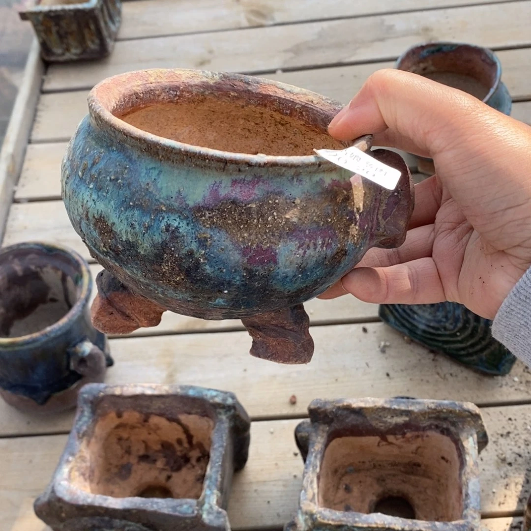 红陶时**雨20号多肉盆一个呀