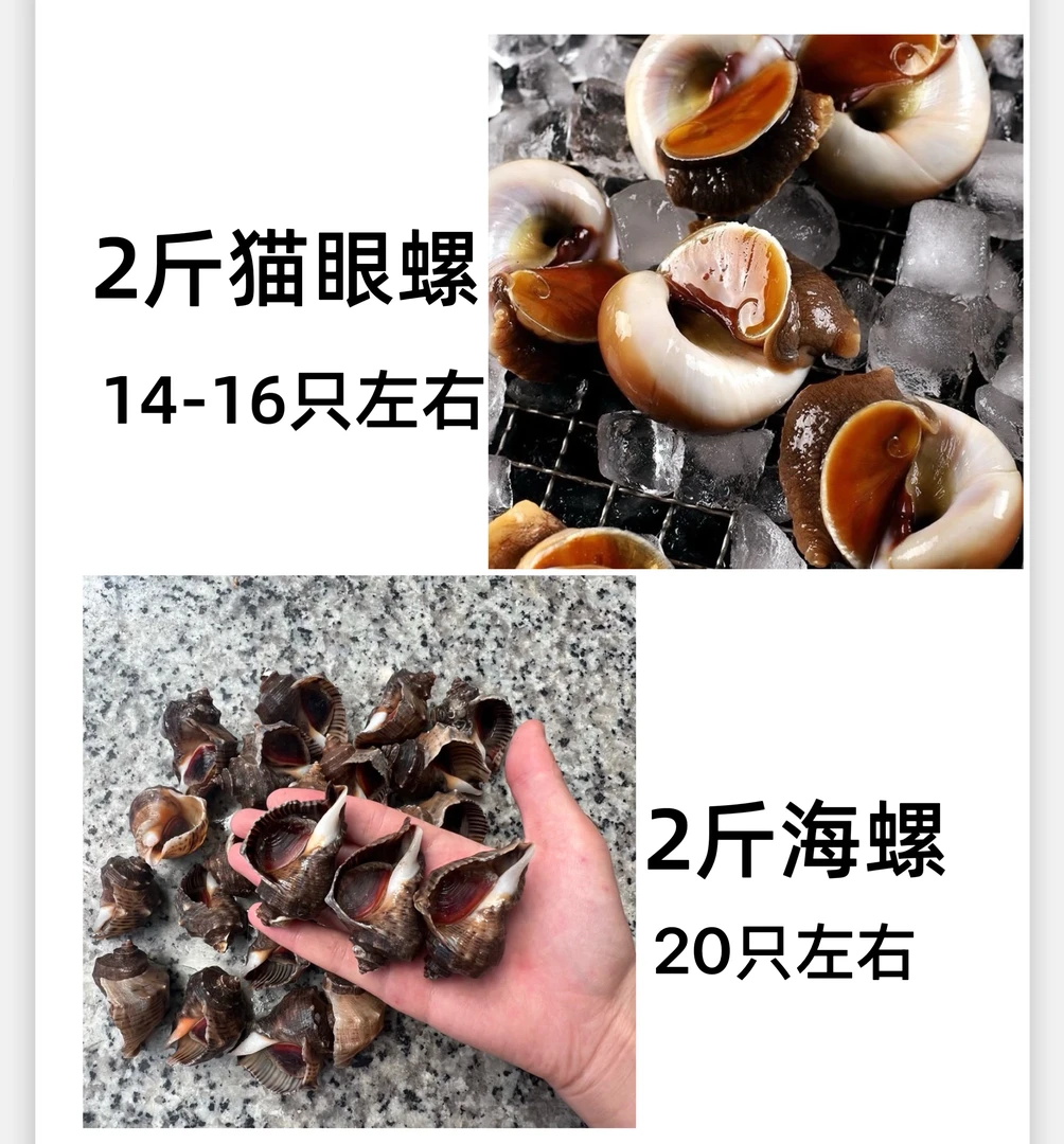 连云港发货  2斤猫眼螺➕2斤小海螺混搭  顺丰发货
